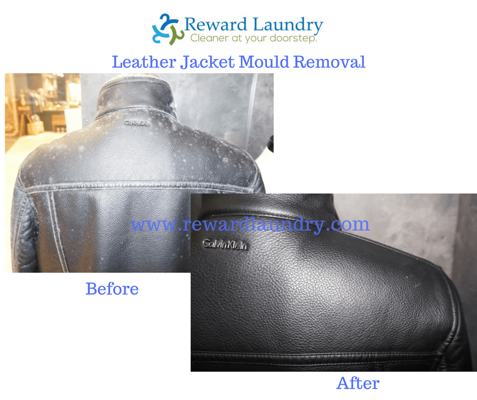 Leather Jacket Mould Removal2 Leather Jacket Cleaning