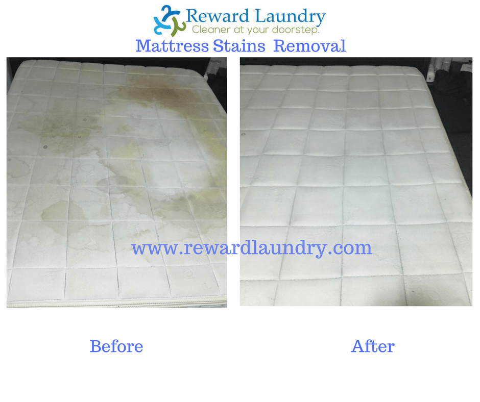 Queen Bed Pet Stains Removal